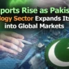 پاکستان میں آئی ٹی کا شعبہ عالمی سطح پر تیزی سے ابھر رہا ہے