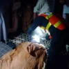 جھنگ میں ٹریفک حادثے اور میلے میں گھوڑے کی ٹکر سے دو افراد جاں بحق
