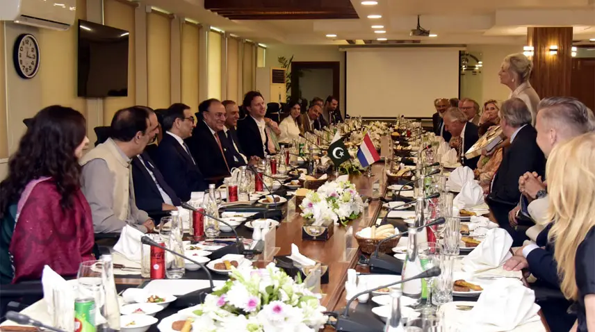 وزیر خزانہ کا پاکستان اور نیدرلینڈز کے درمیان تجارتی شراکت داریوں کے فروغ پر زور