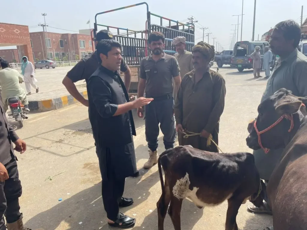 جھنگ: اے ڈی سی (انفورسمنٹ) رب نواز چدھڑ کا مویشی منڈی کا اچانک دورہ،زائد وصولیوں پر ٹھیکیدار کے نمائندے گرفتار، پولیس کے حوالے کردیا